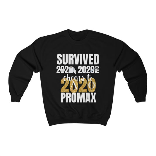 Funny Pandemic Shirt/Sweatshirt | 2020, 2021, 2022